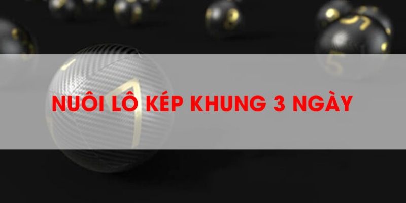 lô kép khung 3 ngày bền vững