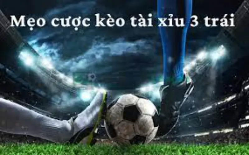 Top 5 cách soi cầu tài xỉu chuẩn nhất năm 2024