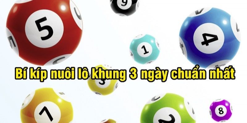 lô kép khung 3 ngày bền vững